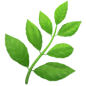 Eco-Safe Products