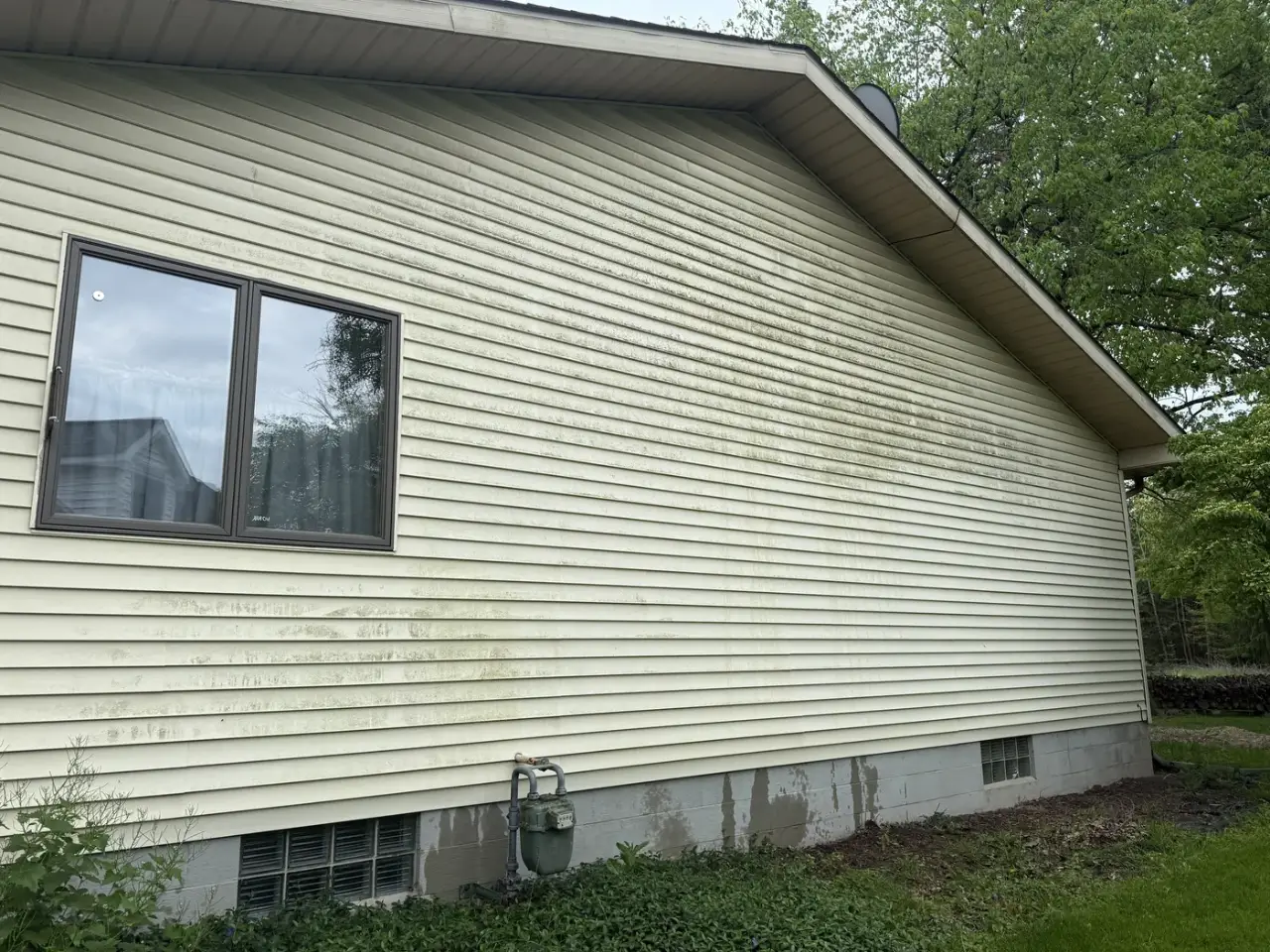 The same Medina home before soft washing, vinyl siding streaked with green algae
